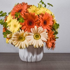 Minigerberas-en-ceramica